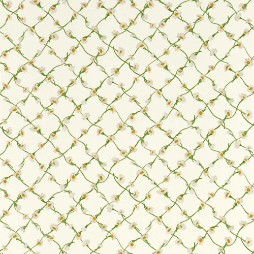 Daisy Trellis – Harlequin
